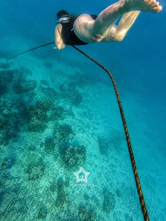 Buceo libre sobre el arrecife en las Islas del Rosario