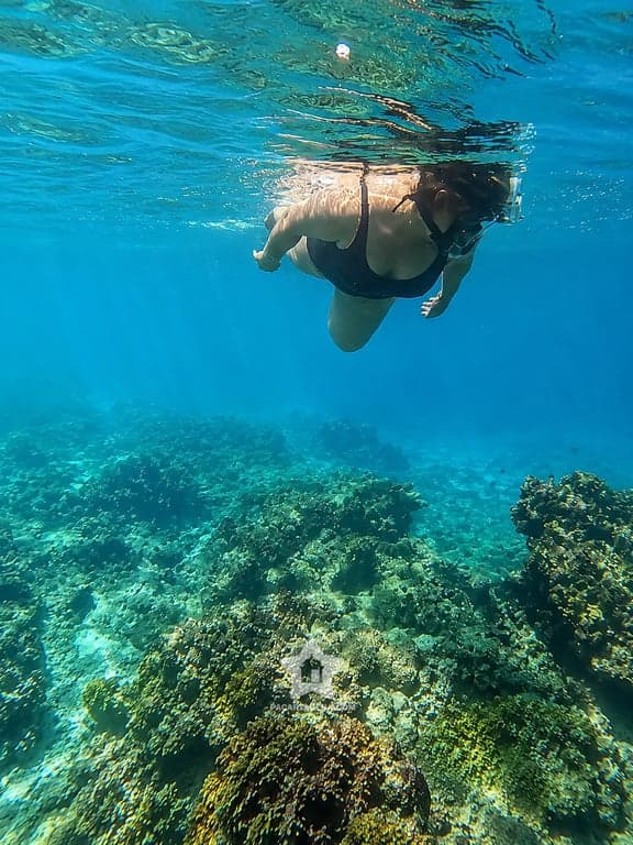 Snorkel sobre el arrecife en aguas claras de las Islas del Rosario