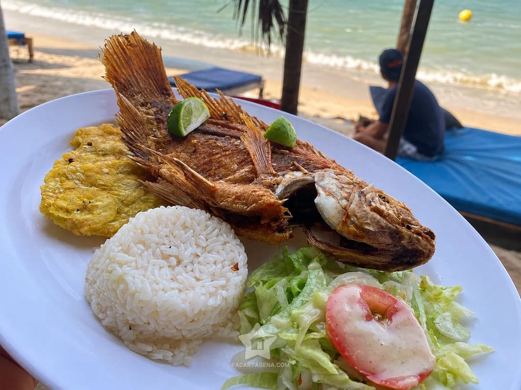 Almuerzo de pescado frito con arroz, patacón y ensalada, servido frente a la playa