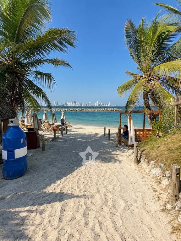 Camino de arena entre palmeras hacia la playa del club en Tierra Bomba