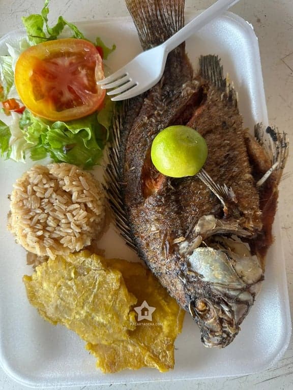 Almuerzo típico servido en Punta Arena: mojarra frita, arroz, patacón y ensalada