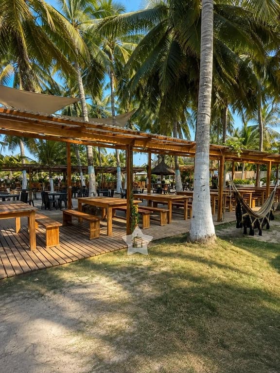 Zona de comedor con mesas y bancas de madera bajo techo de palma, en Tierra Bomba