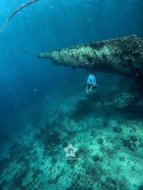 Buceo libre bajo un naufragio en las aguas del Rosario
