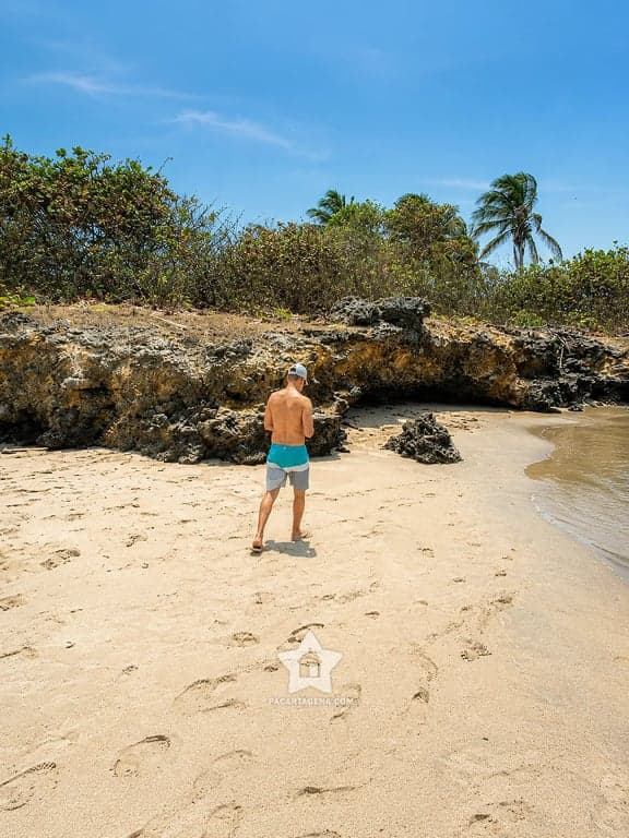 Cala de arena con rocas y palmera en la isla de Tierra Bomba