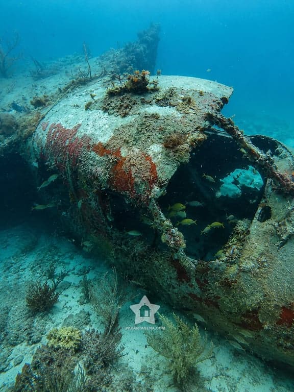 Naufragio sumergido con peces, buceo en las Islas del Rosario