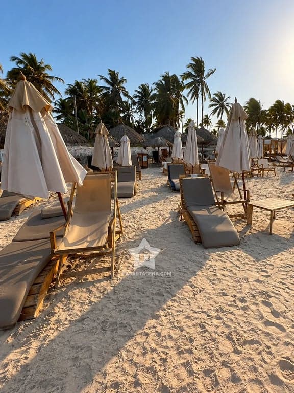 Camastros y sombrillas en la arena del club de playa en Tierra Bomba