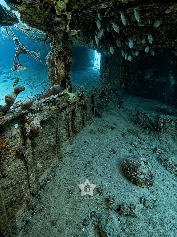 Interior de un naufragio con peces en las Islas del Rosario