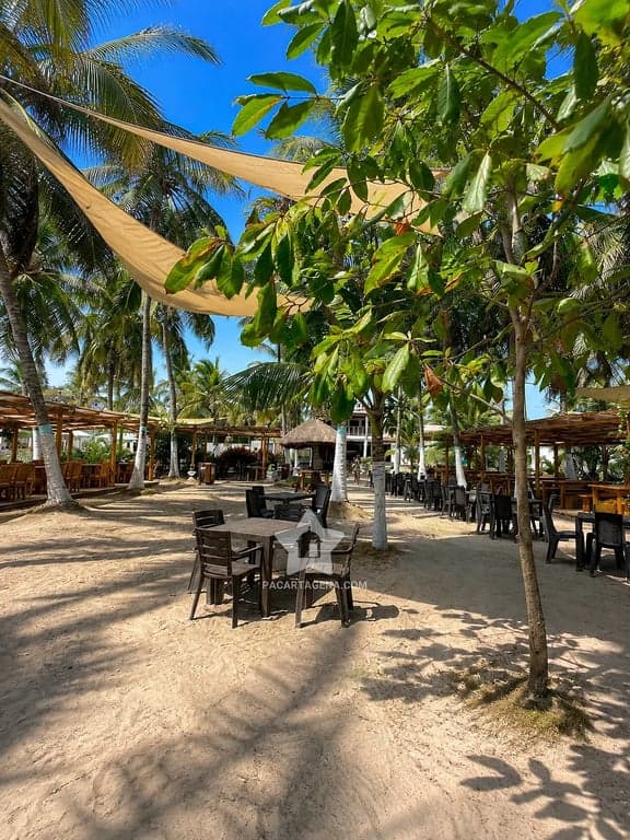 Mesas y sillas de la zona de comedor de Palmarito Beach Club, entre palmeras